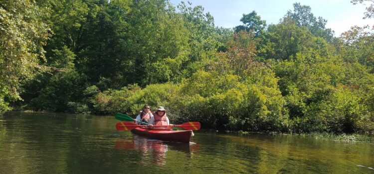 Nissequogue River