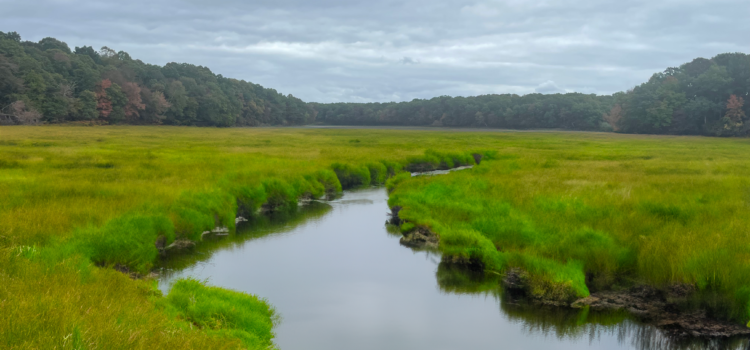 Nissequogue River