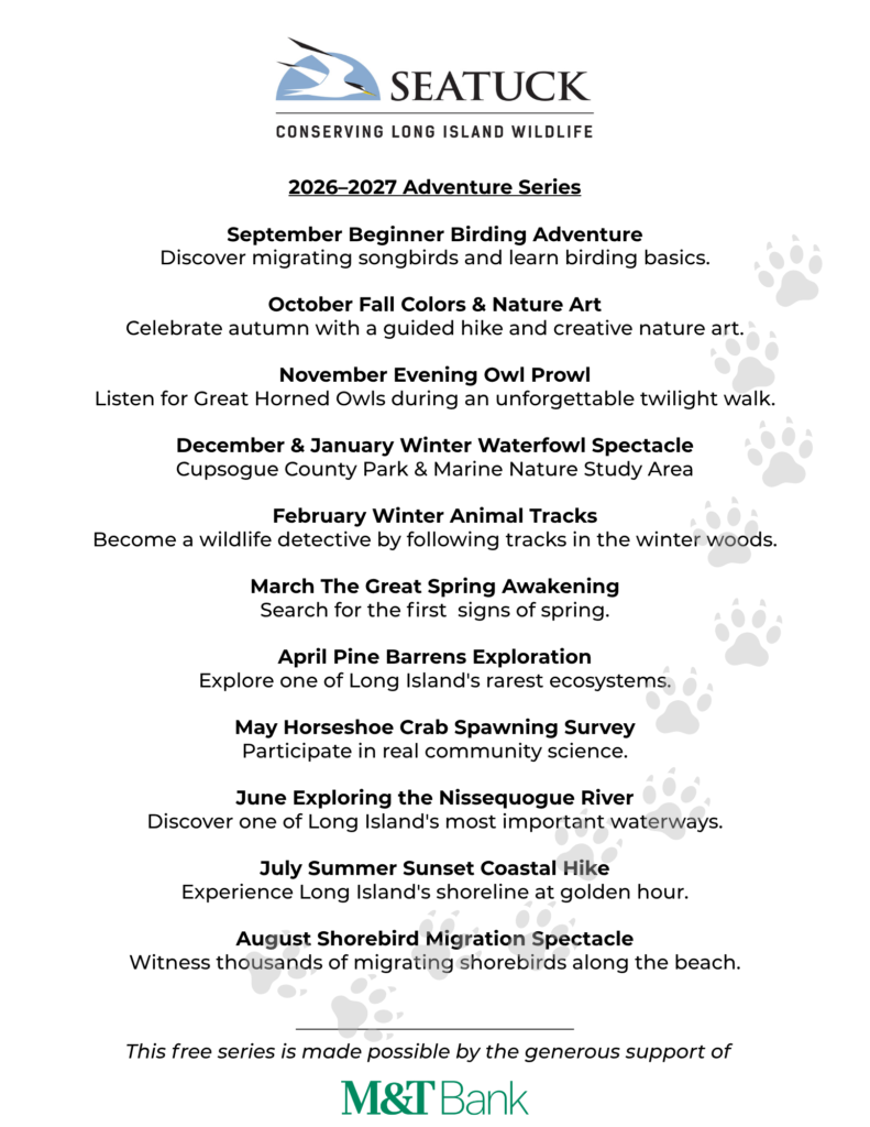 M&T bank ed program list