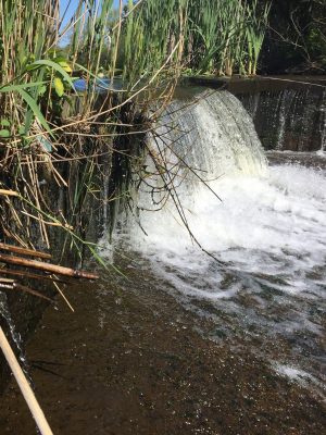 Bellmore Creek